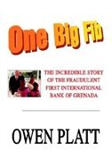One Big Fib by Owen Platt, Paperback | Indigo Chapters