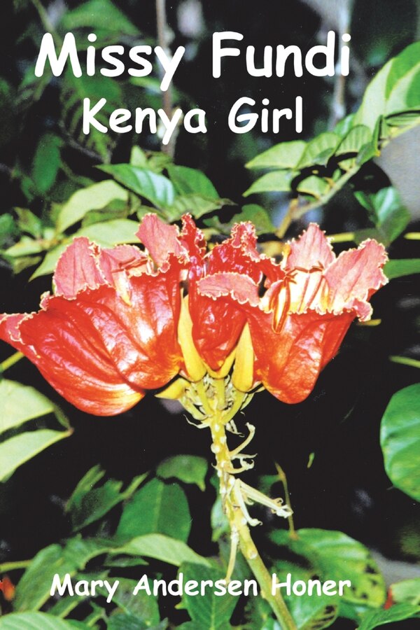Missy Fundi by Mary Andersen Honer, Paperback | Indigo Chapters