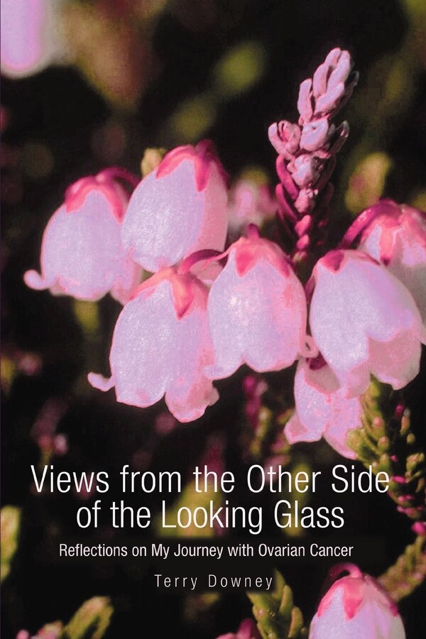 Views from the Other Side of the Looking Glass by Terry Downey, Paperback | Indigo Chapters
