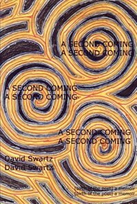 A Second Coming by David Swartz, Paperback | Indigo Chapters