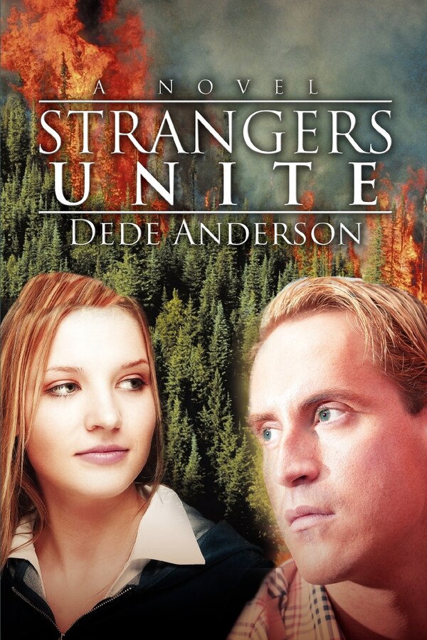 Strangers Unite by Dede Anderson, Paperback | Indigo Chapters