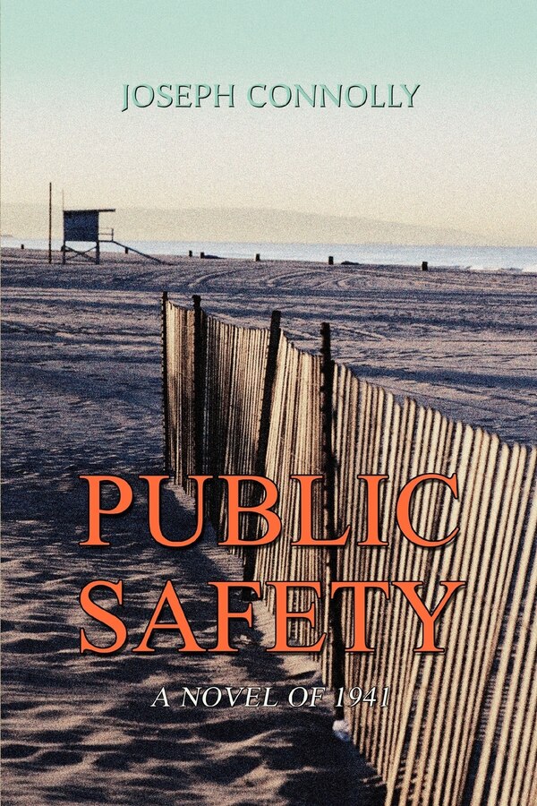 Public Safety by Joseph Connolly