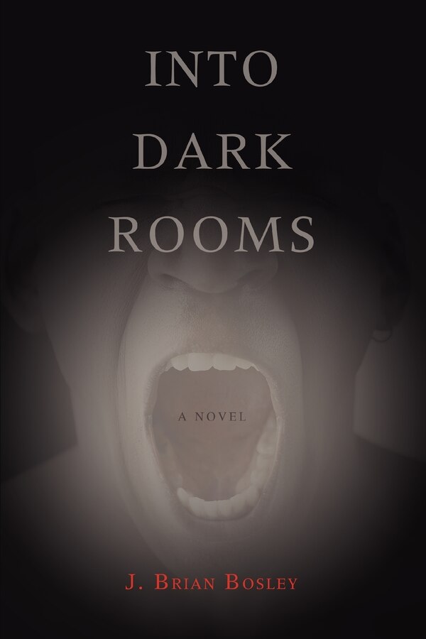 Into Dark Rooms by J Brian Bosley, Paperback | Indigo Chapters