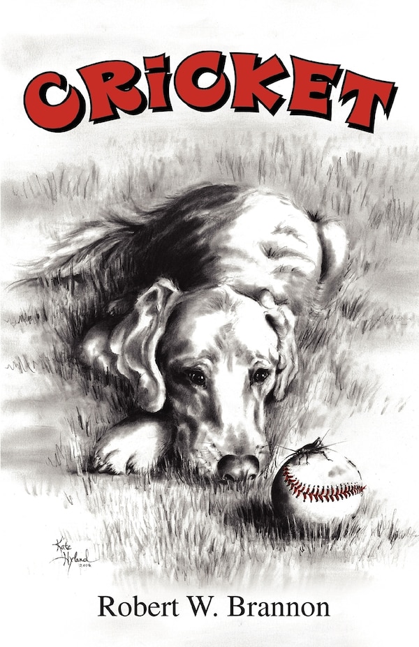 Cricket by Robert W Brannon, Paperback | Indigo Chapters