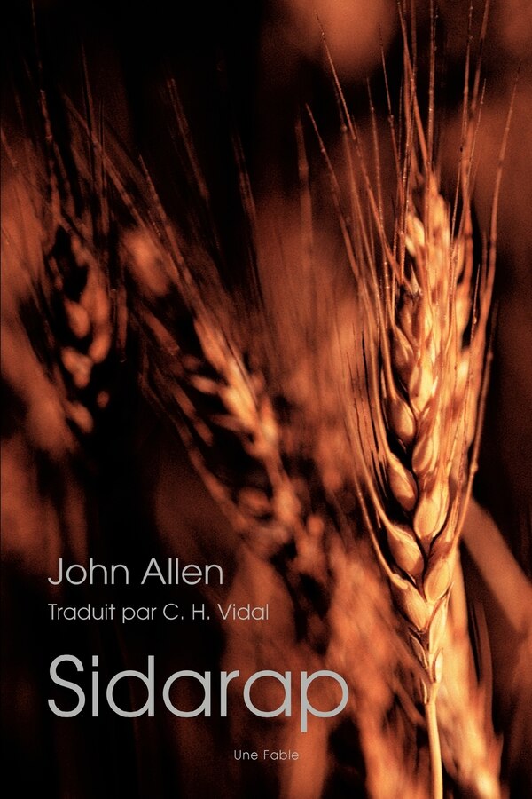 Sidarap by JOHN ALLEN, Paperback | Indigo Chapters