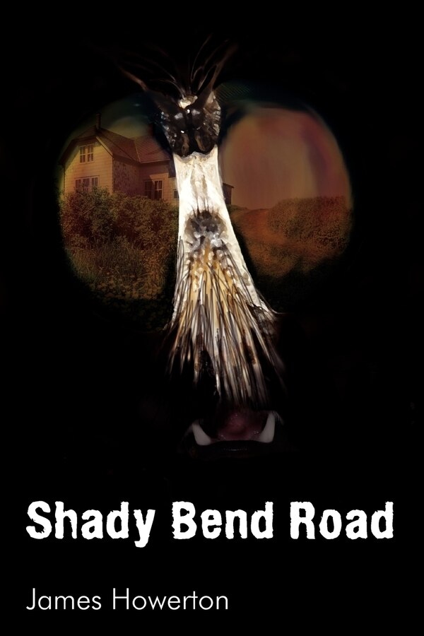 Shady Bend Road by James Howerton, Paperback | Indigo Chapters