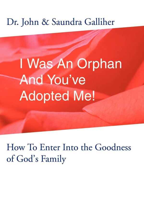 I Was An Orphan And You've Adopted Me by Ja Galliher, Hardcover | Indigo Chapters