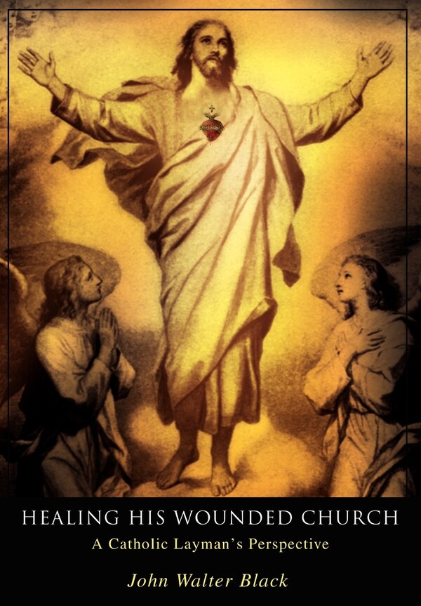 Healing His Wounded Church by John Walter Black, Hardcover | Indigo Chapters