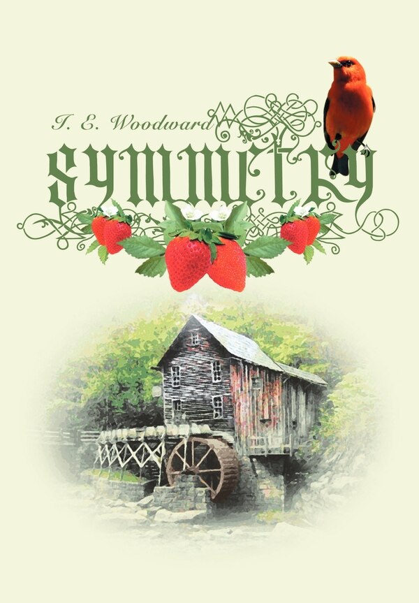 Symmetry by I E Woodward, Hardcover | Indigo Chapters