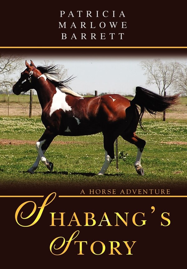 Shabang's Story by Patricia Marlowe Barrett, Hardcover | Indigo Chapters