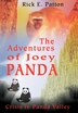The Adventures Of Joey Panda by Rick E Patton, Hardcover | Indigo Chapters