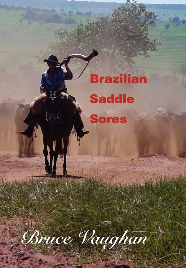 Brazilian Saddle Sores by Bruce Vaughan, Hardcover | Indigo Chapters