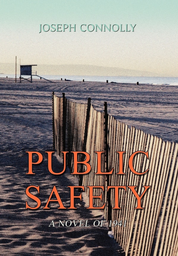 Public Safety by Joseph Connolly, Hardcover | Indigo Chapters
