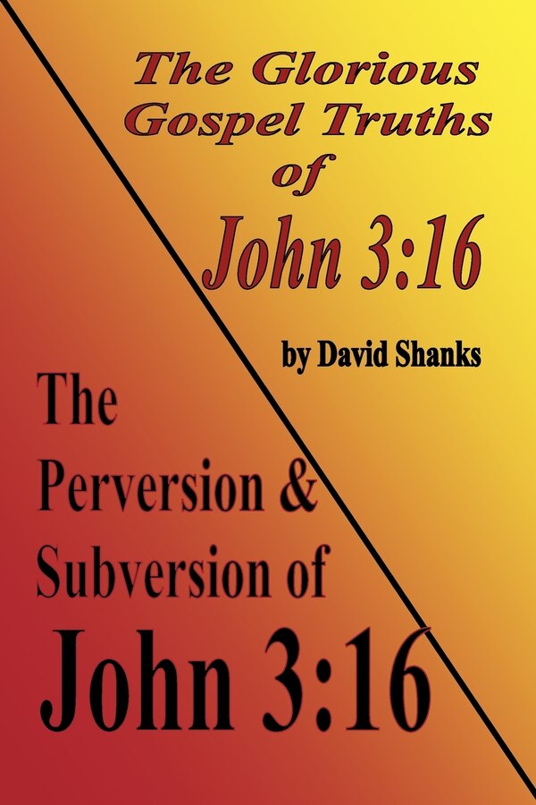 The Perversion and Subversion of John 3 by David L Shanks, Paperback | Indigo Chapters
