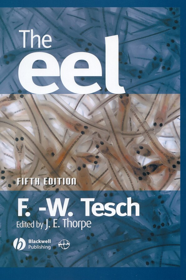 The Eel by Frederich W. Tesch, Hardcover | Indigo Chapters