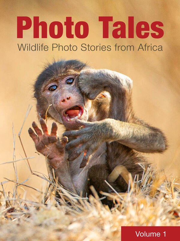 Photo Tales Volume 1 by Various Authors, Paperback | Indigo Chapters