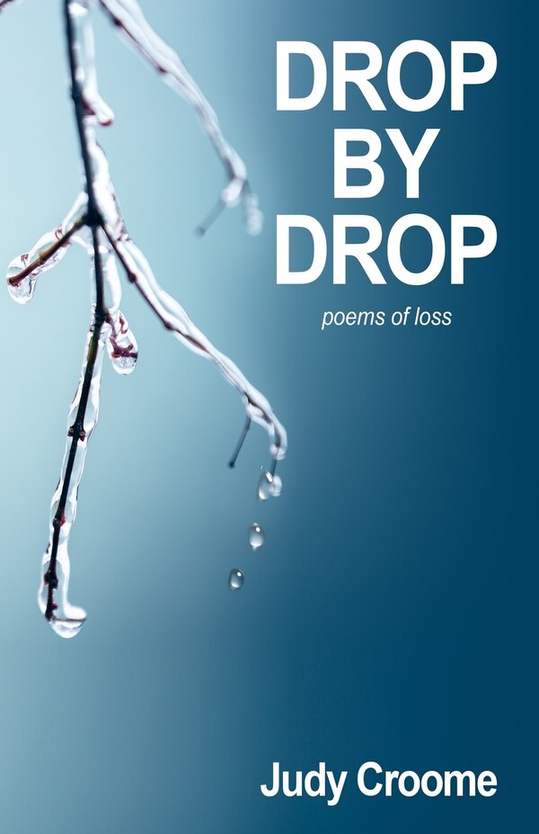 Drop by Drop by Judy Croome, Paperback | Indigo Chapters