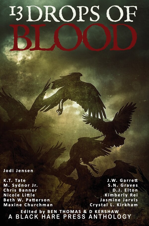 13 Drops of Blood by Jodi Jensen, Hardcover | Indigo Chapters