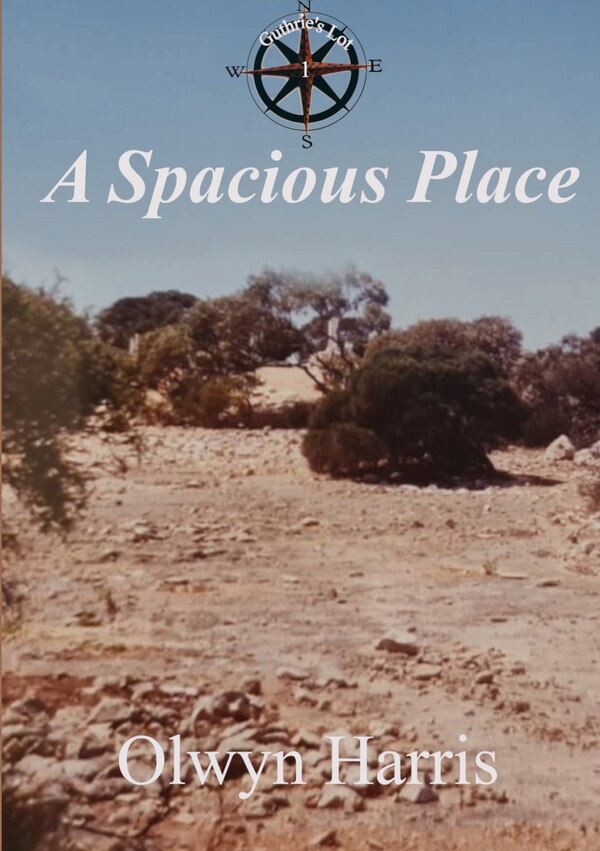 A Spacious Place by Olwyn Harris, Paperback | Indigo Chapters