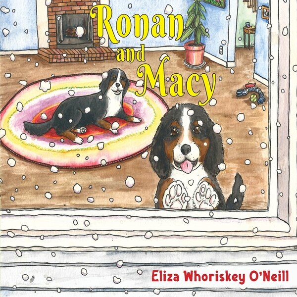 Ronan and Macy by Eliza Whoriskey O'Neill, Paperback | Indigo Chapters