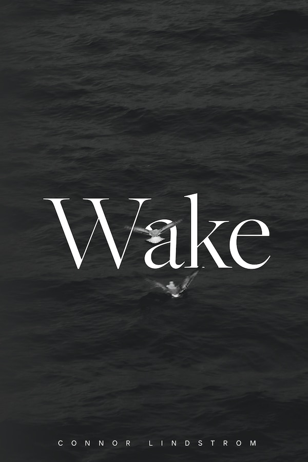 Wake by Connor Lindstrom, Paperback | Indigo Chapters
