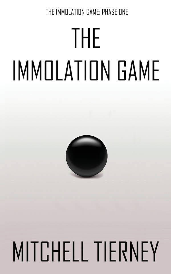 The Immolation Game by Mitchell Tierney, Paperback | Indigo Chapters