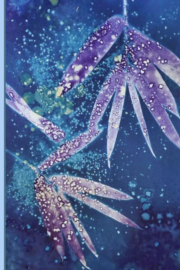 The Surprising Sea Journal by Wendy Nash, Paperback | Indigo Chapters