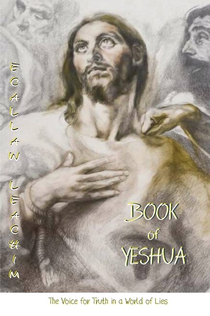 Book of Yeshua by Ecallaw Leachim, Paperback | Indigo Chapters