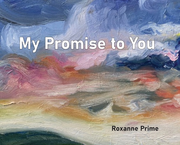 My Promise to You by Roxanne Prime, Hardcover | Indigo Chapters