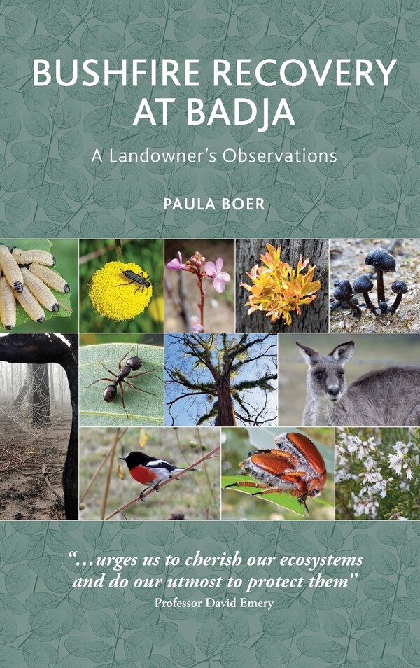 Bushfire Recovery at Badja by Paula Boer, Hardcover | Indigo Chapters