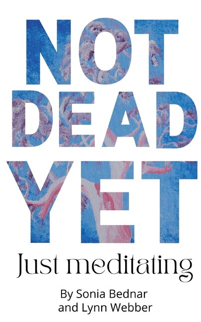 Not Dead Yet Just meditating by Lynn T Webber, Paperback | Indigo Chapters