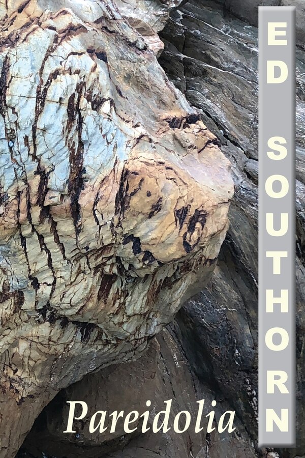 Pareidolia by Ed Southorn, Paperback | Indigo Chapters
