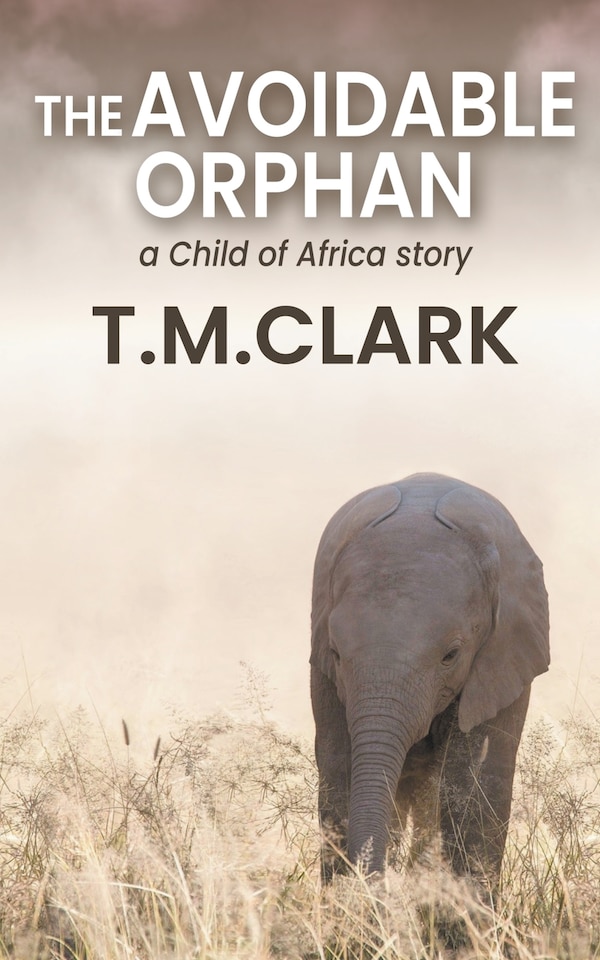 The Avoidable Orphan by T M Clark, Paperback | Indigo Chapters