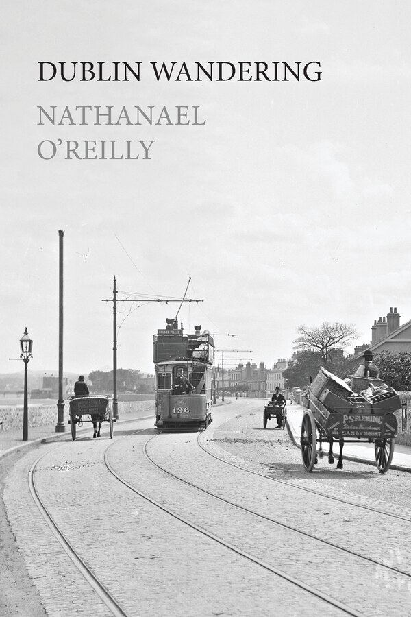 Dublin Wandering by Nathanael O'Reilly, Paperback | Indigo Chapters