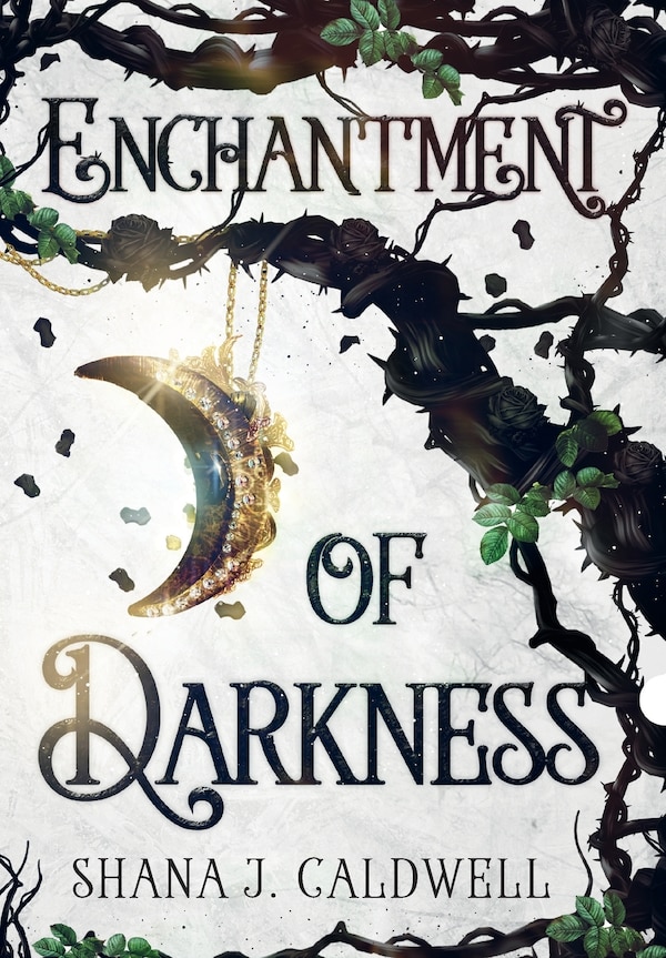 Enchantment of Darkness by Shana J Caldwell, Hardcover | Indigo Chapters