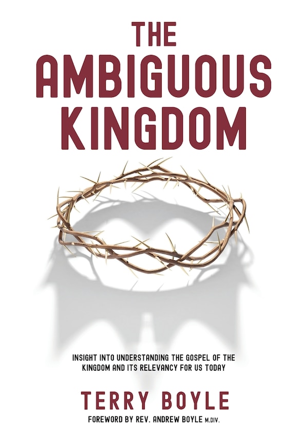 The Ambiguous Kingdom by Terry J Boyle, Paperback | Indigo Chapters