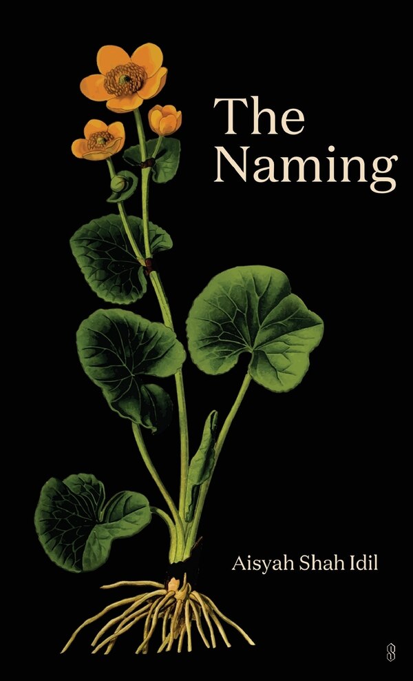 The Naming by Aisyah Shah Idil, Paperback | Indigo Chapters