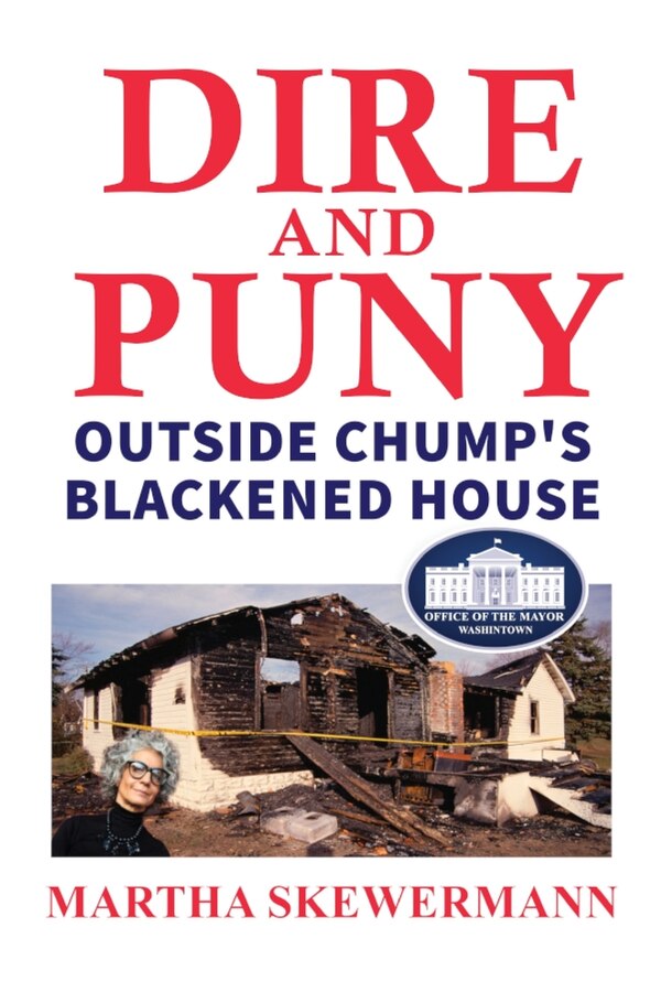 Dire and Puny by Martha Skewermann, Paperback | Indigo Chapters