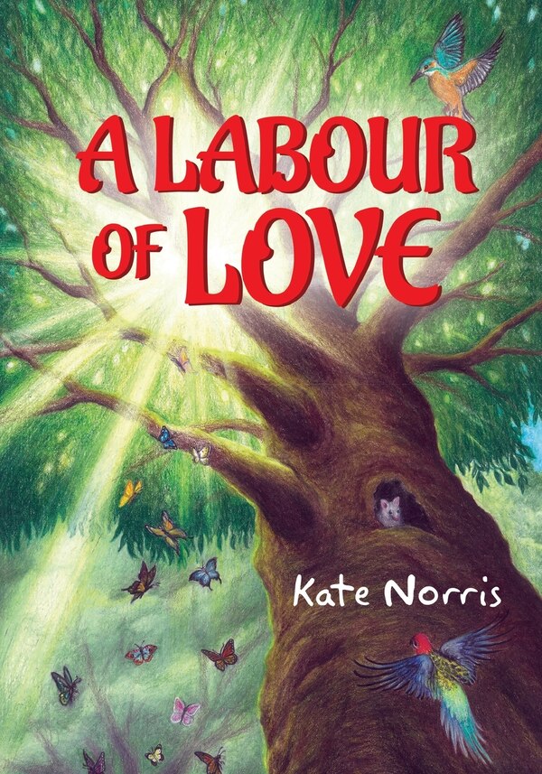 A Labour of Love by Kate Norris, Paperback | Indigo Chapters