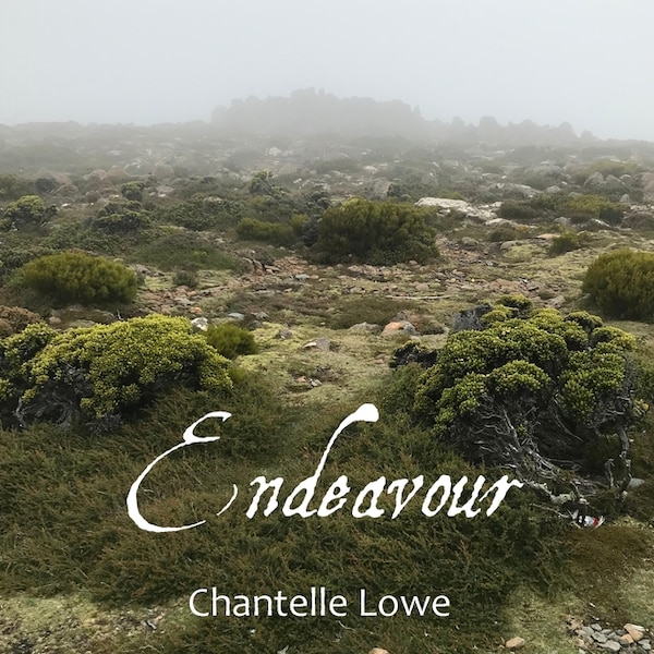 Endeavour by Chantelle Lowe, Paperback | Indigo Chapters