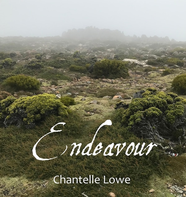 Endeavour by Chantelle Lowe, Hardcover | Indigo Chapters