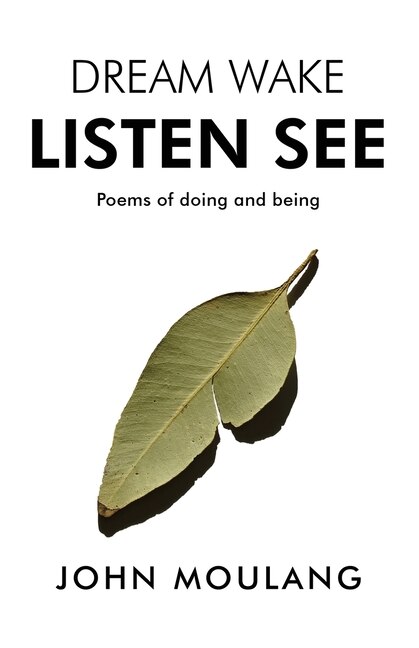 Dream Wake Listen See by John Moulang, Paperback | Indigo Chapters
