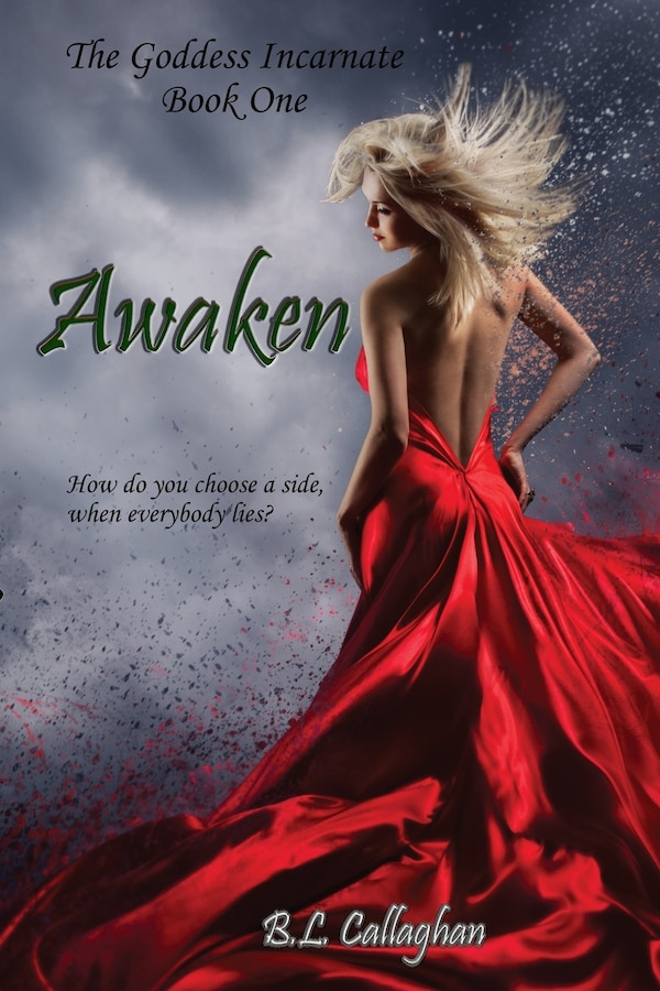 Awaken by B L Callaghan, Paperback | Indigo Chapters