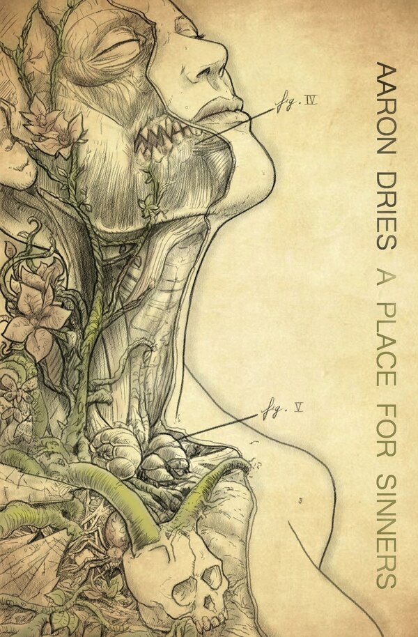 A Place For Sinners by Aaron Dries, Paperback | Indigo Chapters