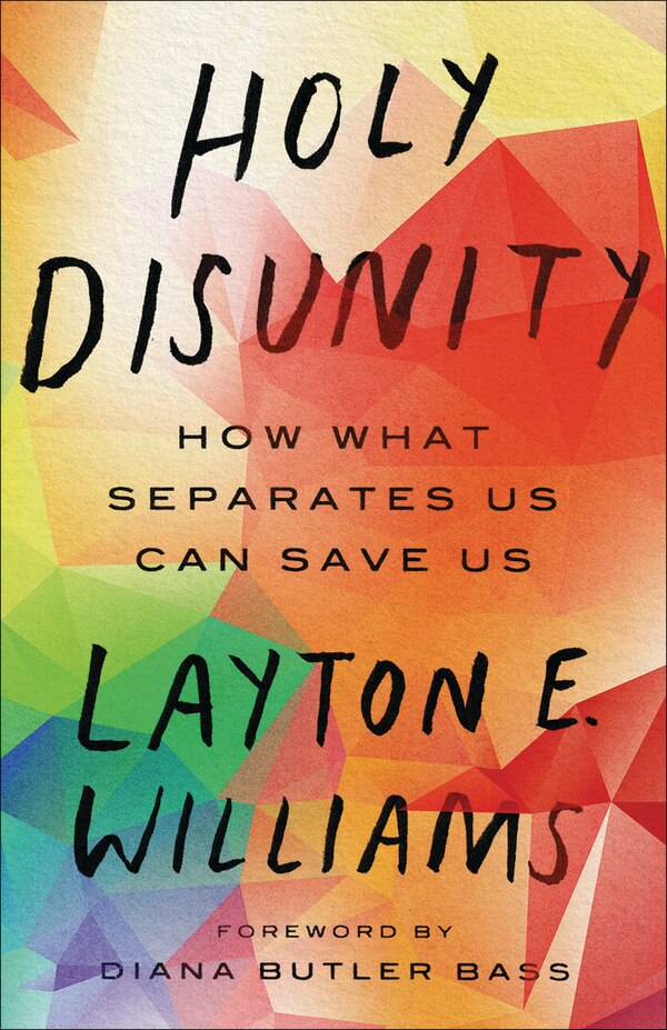 Holy Disunity by Layton E Williams, Paperback | Indigo Chapters