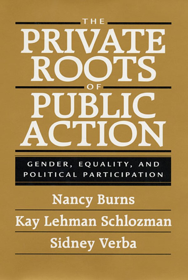 The Private Roots of Public Action by Nancy Burns, Paperback | Indigo Chapters