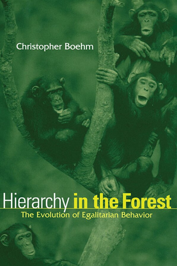 Hierarchy in the Forest by Christopher Boehm, Paperback | Indigo Chapters