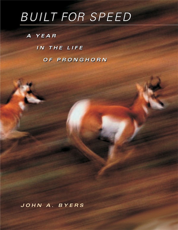Built for Speed by John A. Byers, Hardcover | Indigo Chapters