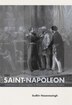 Saint-Napoleon by Sudhir Hazareesingh, Hardcover | Indigo Chapters