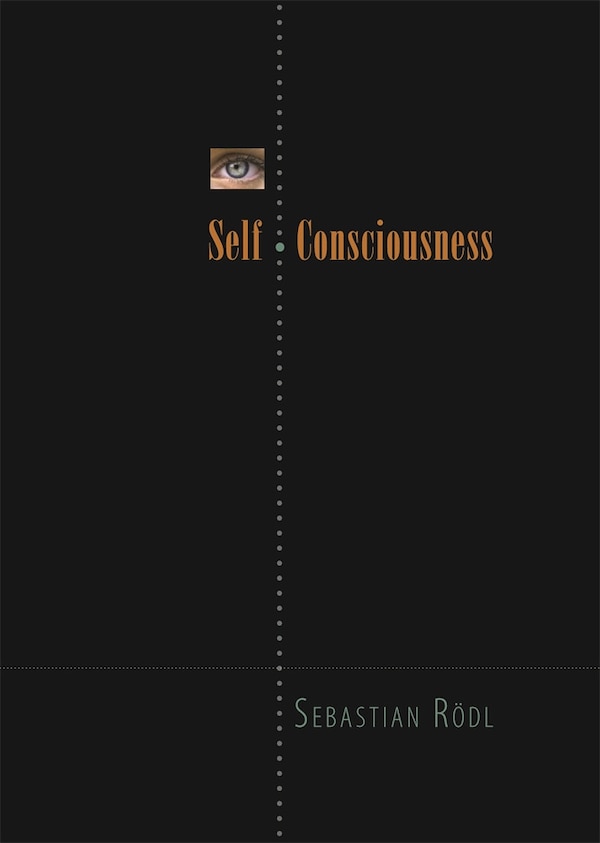 Self-Consciousness by Sebastian Rodl, Hardcover | Indigo Chapters